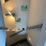 Osada Narost 37 Chojna