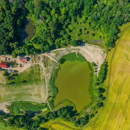 Osada Narost 37 Chojna