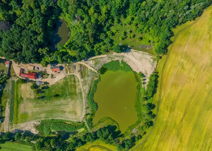 Osada Narost 37 Chojna